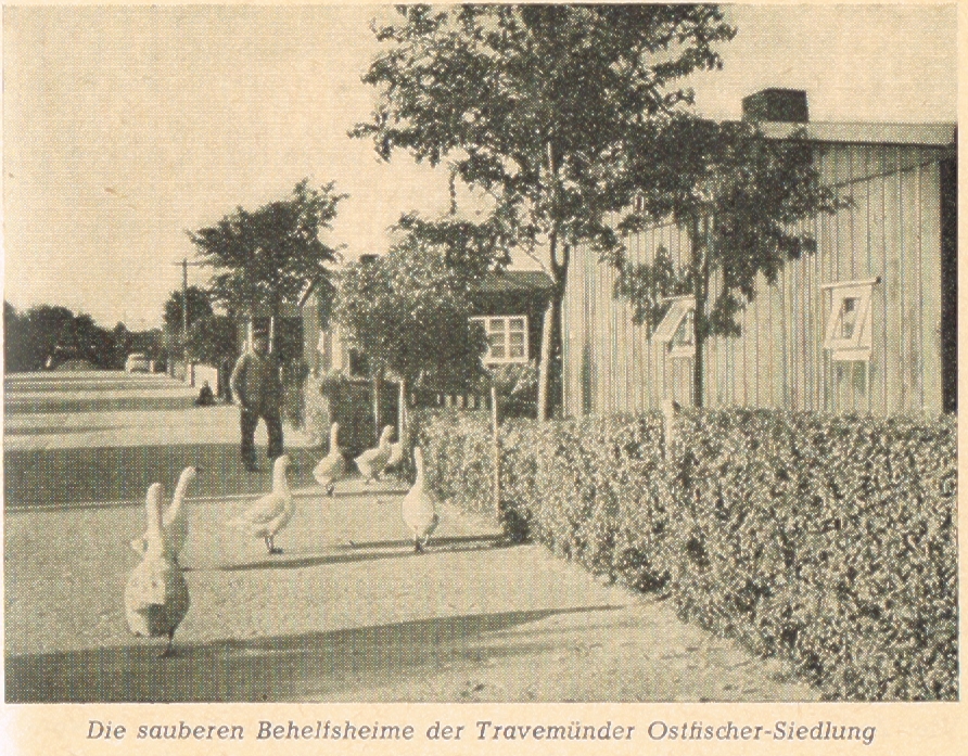 Bild aus "Pommersches Heimatbuch 1957" Bildautor Th.M.Scheerer